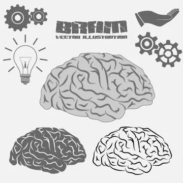 Vector Brain icon Stock Illustration