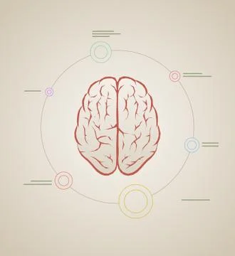 Vector brain inforaphic template Stock Illustration