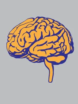 Vector brain silhouette illustration Stock Illustration