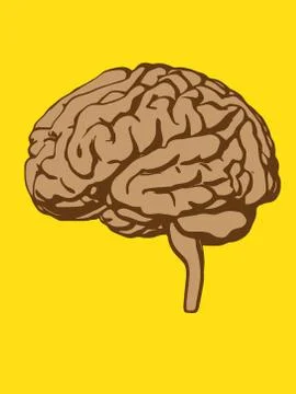 Vector brain silhouette illustration Stock Illustration