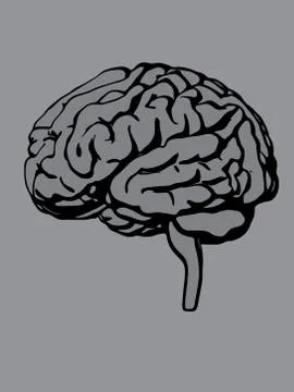 Vector brain silhouette illustration Stock Illustration