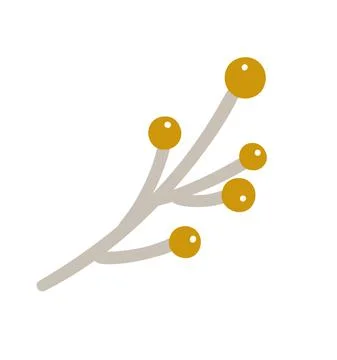 Vector branch with berries on white background. Floral element botanical winter 스톡 일러스트