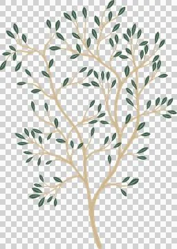 Vector branch is showing multiple thin offshoots with dark green leaves on Stock Illustration