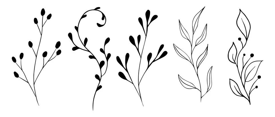 Vector branches and leaves. Hand drawn floral elements. Vintage botanical Illustrazione stock