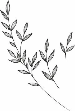 Vector branches and leaves. Hand drawn floral elements. Vintage botanical ill Illustrazione stock