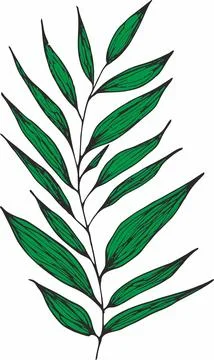 Vector branches and leaves. Hand drawn floral elements. Vintage botanical ill Illustrazione stock