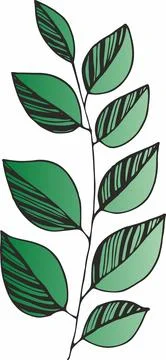 Vector branches and leaves. Hand drawn floral elements. Vintage botanical ill Illustrazione stock