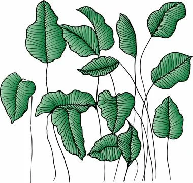 Vector branches and leaves. Hand drawn floral elements. Vintage botanical ill Illustrazione stock