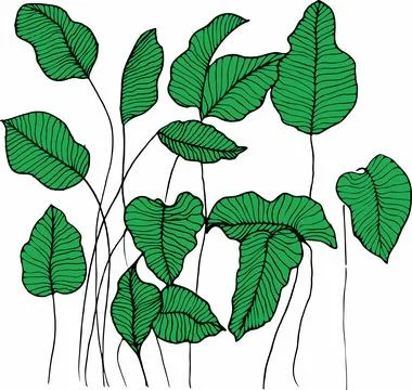 Vector branches and leaves. Hand drawn floral elements. Vintage botanical ill Stockillustratie