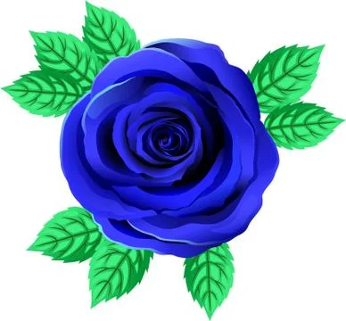 Vector Bright Blue Rose Flower. Rose Clipart With Petals And Leaf. Stock Illustration