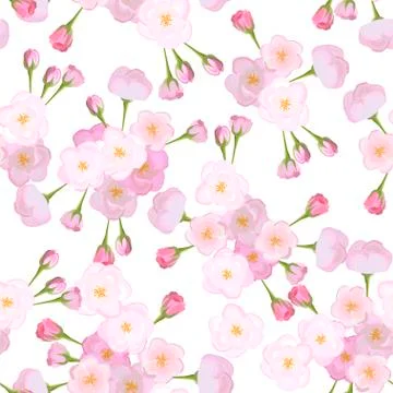 Vector bright cherry flowers on white background seamless Stock Illustration