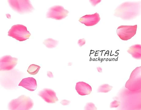 Vector bright rose petals fall down. A lot of pink petals on white background Stock Illustration