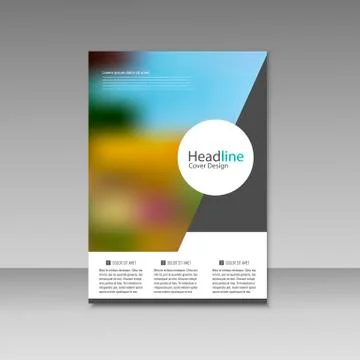 Vector Brochure Design Layout template Stock Illustration