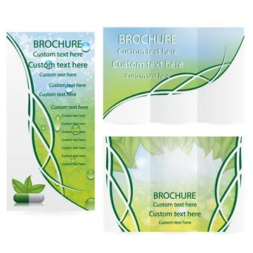 Vector Brochure Layout Design Template Stock Illustration