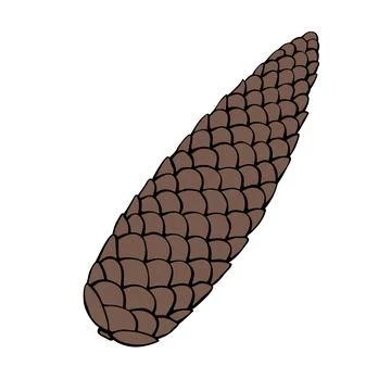 Vector brown fir spruce cone in flat doodle style. Color outline illustration Stock Illustration