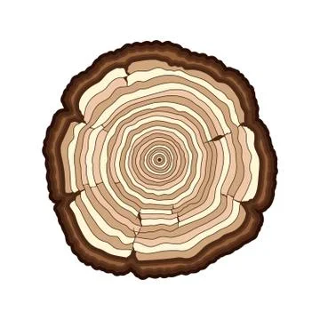 Vector brown tree rings cut trunk isolated white Stock Illustration
