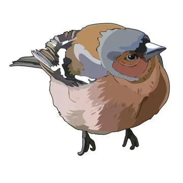 Vector bullfinch Stock Illustration