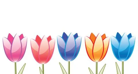 Vector bunch of colorful tulips Stock Illustration