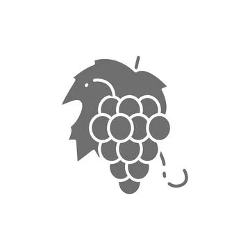 Vector bunch of grapes, fruit grey icon. Stock Illustration