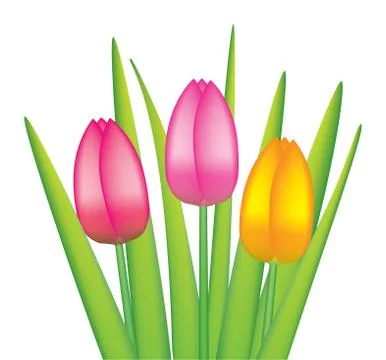 Vector bunch of tulips Stock Illustration