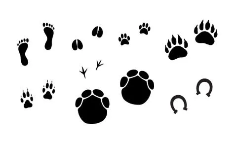 Vector bundle set of black animals foot prints Stock Illustration