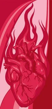 Vector Burning Heart. Illustration for design tattoo イラスト素材