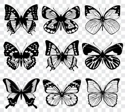 Vector butterflies isolated on transparent checkered background Illustrazione stock