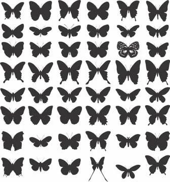 VECTOR BUTTERFLY ARTS Stock Illustration