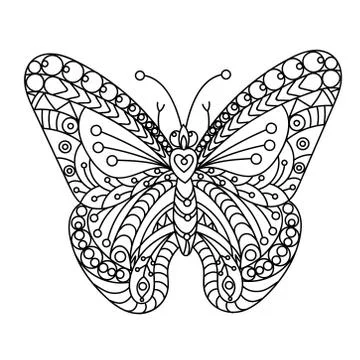 Vector Butterfly coloting page in vector Stock Illustration