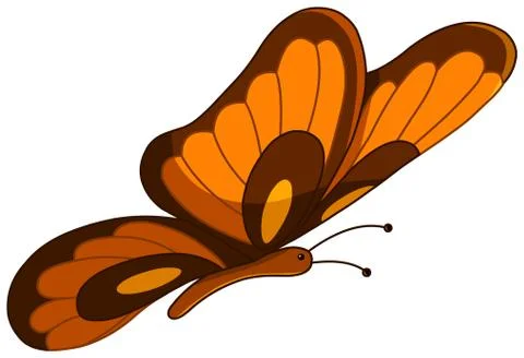 Vector butterfly Illustrazione stock