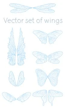 Vector butterfly wings set Stock Illustration