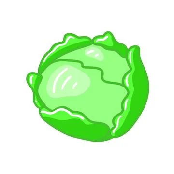 Vector cabbage illustration in doodle cartoon style Stock Illustration