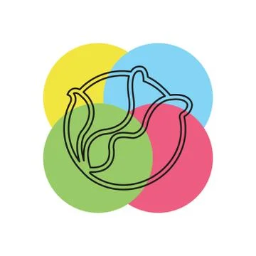 Vector cabbage or lettuce illustration isolated Stock Illustration