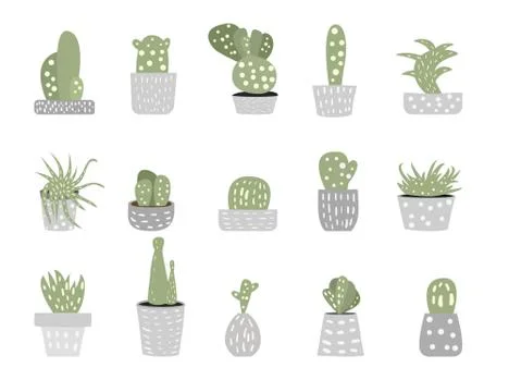 Vector cactus design set.  Collection of succulents isolated on white backgro Illustrazione stock