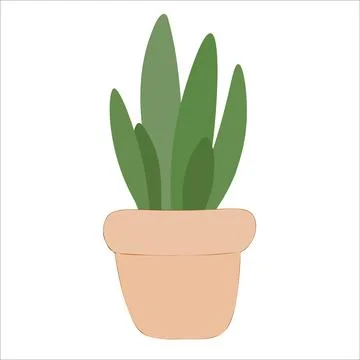 Vector cactus. exotic plants. Decorative natural elements isolated on white. Stock Illustration