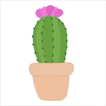 Vector cactus. exotic plants. Decorative natural elements isolated on white. Stock Illustration