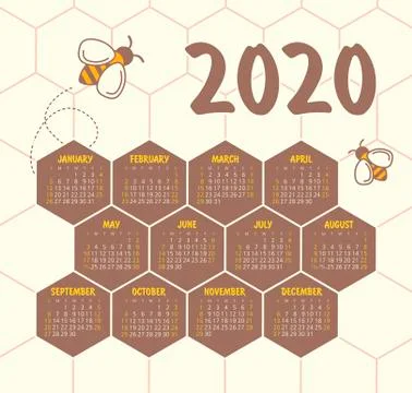 Vector calendar 2020 year. Week starts from Sunday Stock Illustration