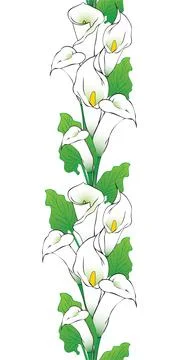 Vector Calla lily flowers vertical seamless pattern Stock Illustration