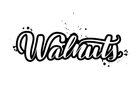 Vector calligraphy illustration isolated on white background 스톡 일러스트