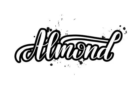 Vector calligraphy illustration isolated on white background Stock Illustration