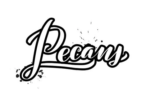Vector calligraphy illustration isolated on white background Stock Illustration