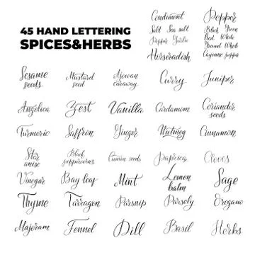 Vector calligraphy illustration isolated on white background. Stock Illustration