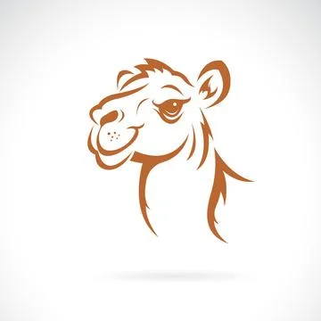 Vector of a camel head design on white background. Wildlife Animals. Easy e.. Stock Illustration