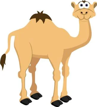 Vector camel Stock Illustration