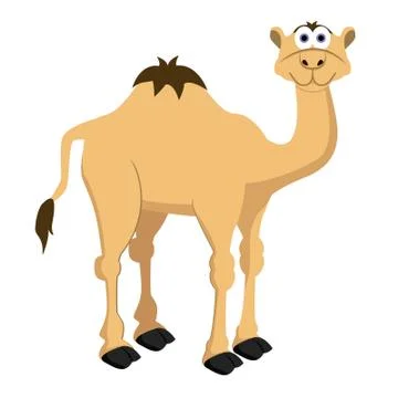 Vector camel for your ideas Stock Illustration