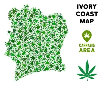Vector Cannabis Composition Ivory Coast Map Stock Illustration