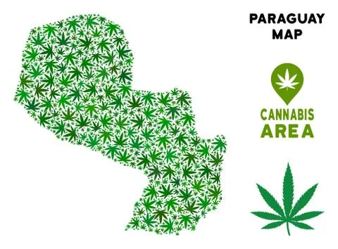 Vector Cannabis Composition Paraguay Map Stock Illustration