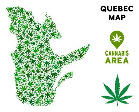 Vector Cannabis Composition Quebec Province Map Stock Illustration
