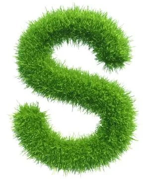 Vector capital letter S from grass on white background 스톡 일러스트