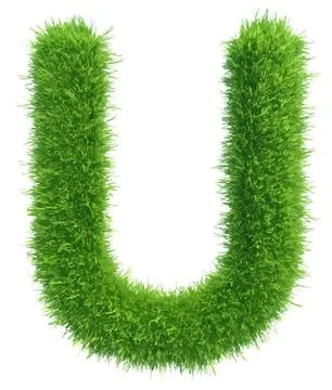 Vector capital letter U from grass on white background 스톡 일러스트